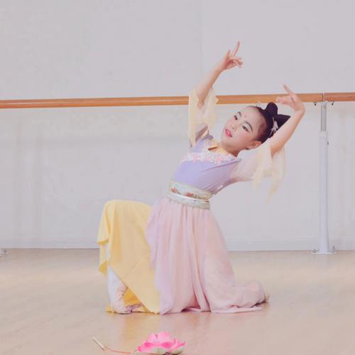 少儿中国舞古典舞蹈完整版的相关图片